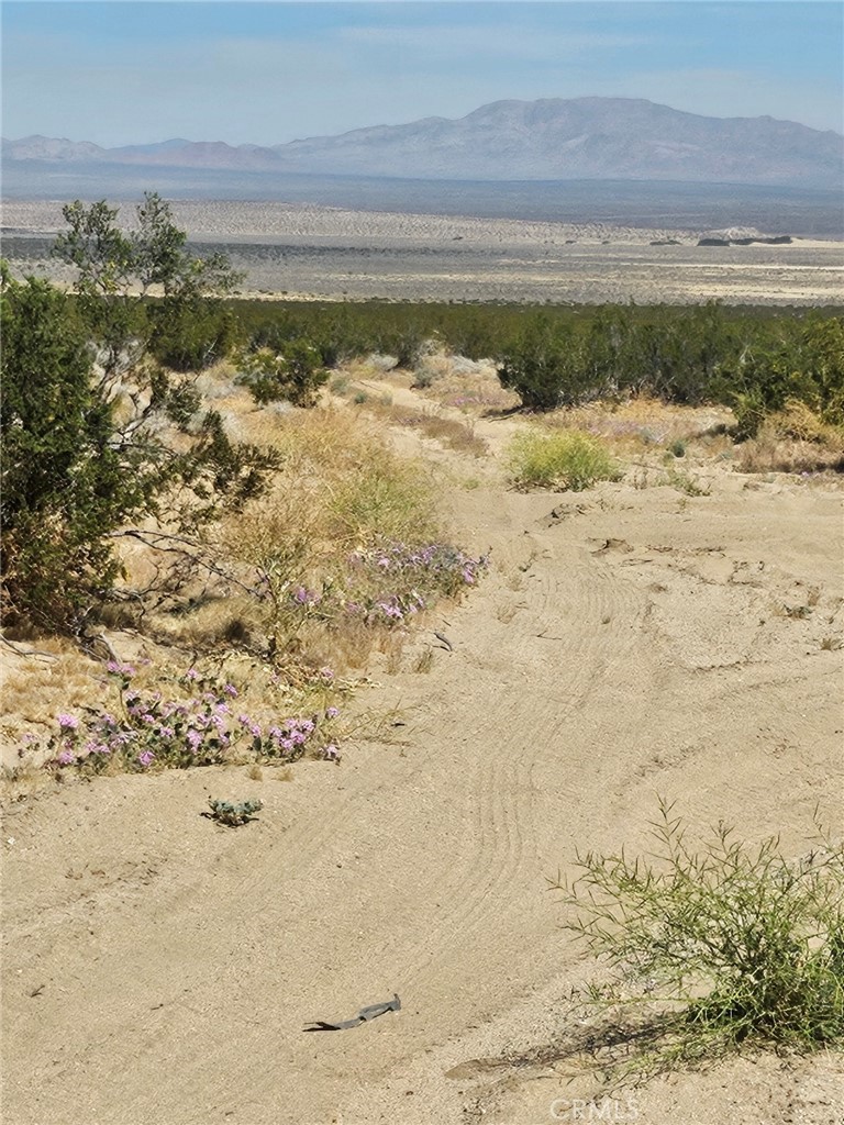 0 Gin Road Landers, CA 92285 - Photo 5 of 5