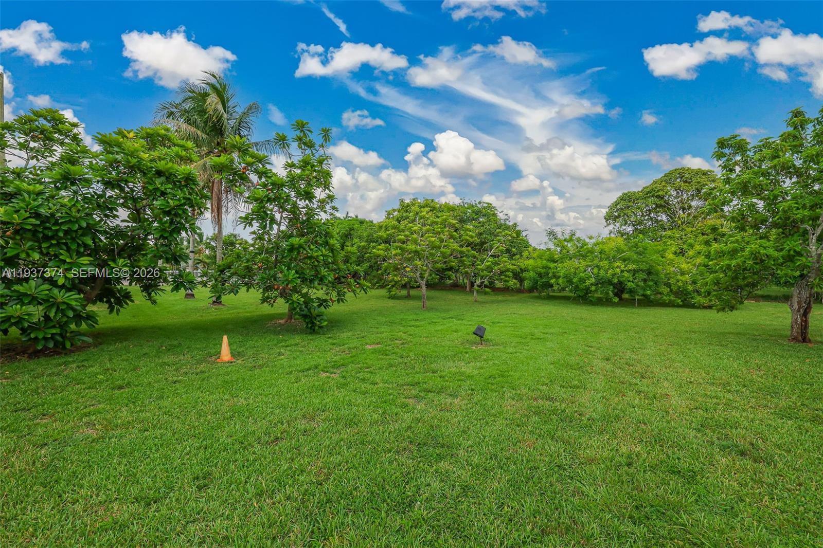 20890 Southwest 236th Street Homestead, FL 33031 - Photo 11 of 47 a view of a garden with a building in the background