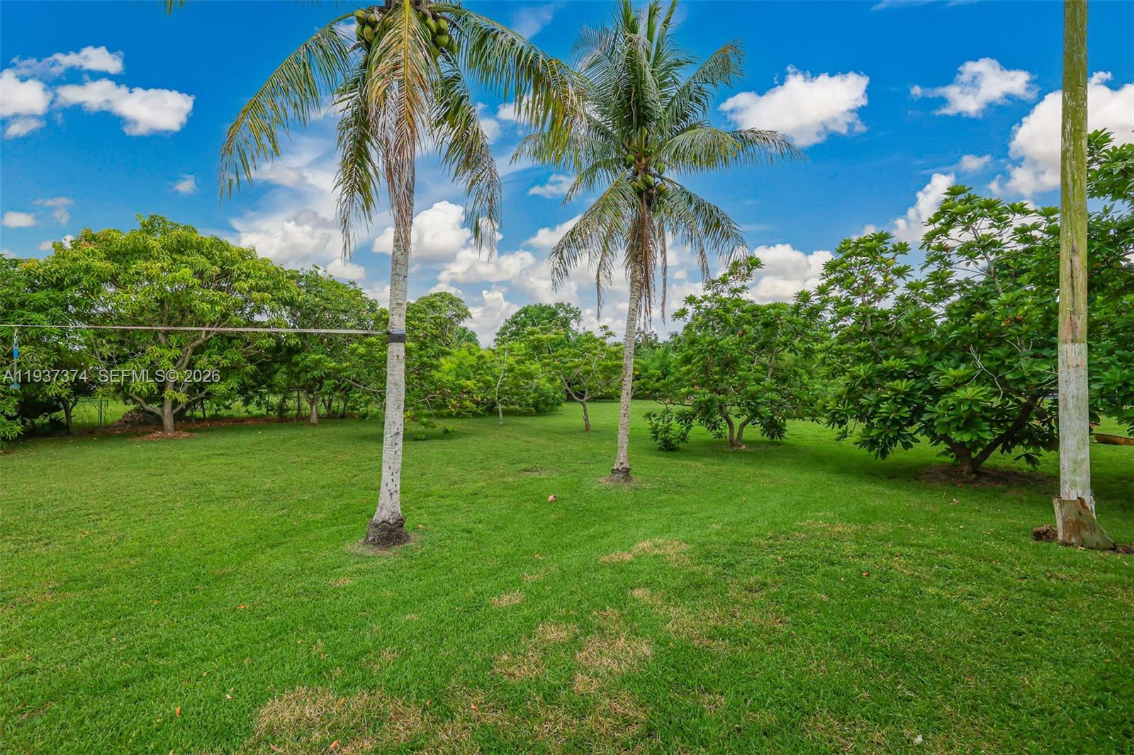 20890 Southwest 236th Street Homestead, FL 33031 - Photo 13 of 47 a view of a backyard with a garden