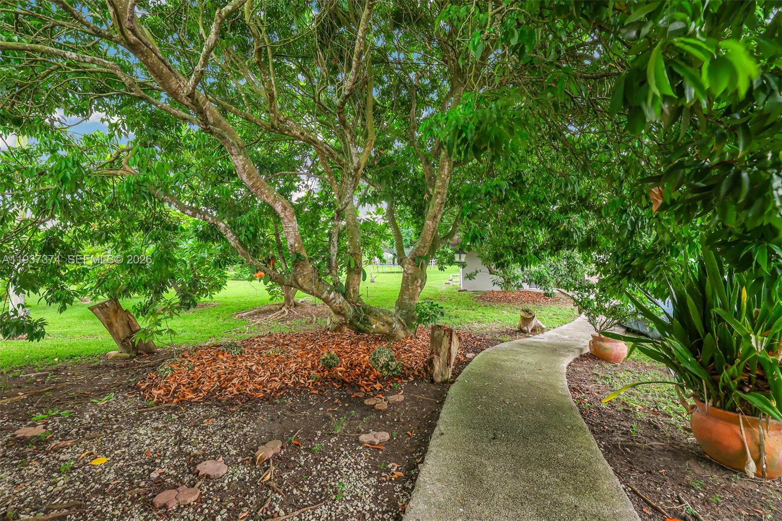 20890 Southwest 236th Street Homestead, FL 33031 - Photo 38 of 47 a view of a yard with plants and large trees