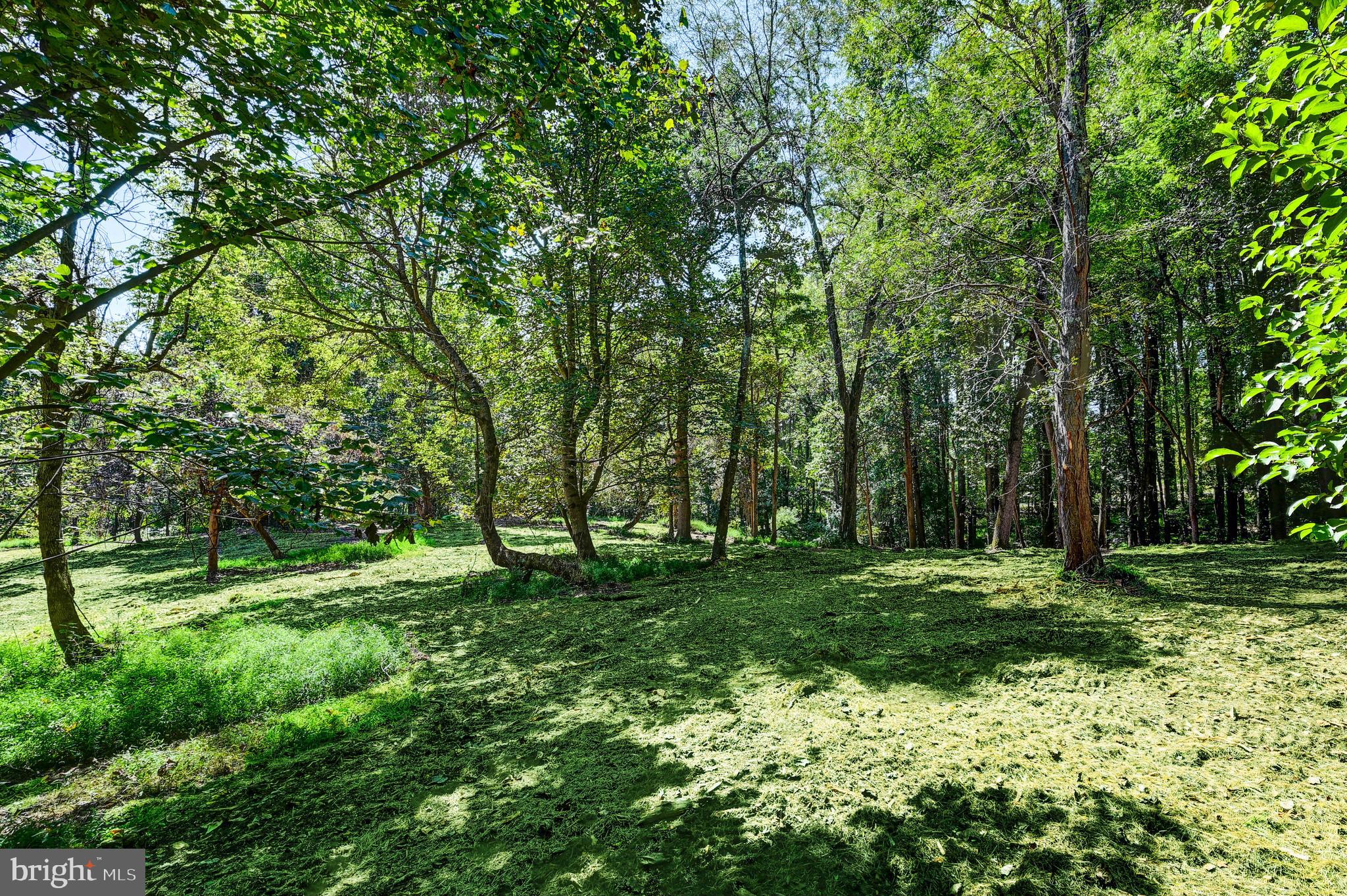 14490 Western Road, Unit 2 Cockeysville, MD 21030 - Photo 20 of 27 a big yard with lots of green space and deers