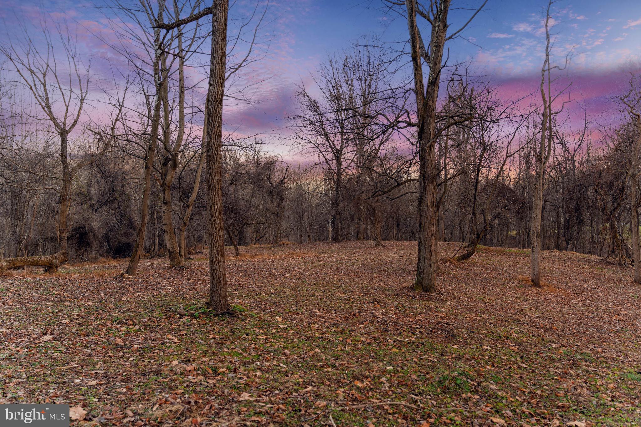 14490 Western Road, Unit 2 Cockeysville, MD 21030 - Photo 22 of 27 a backyard of a house with lots of green space