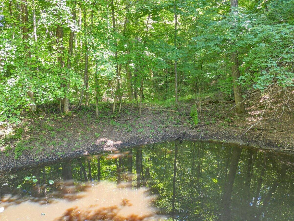 5545 Francis Spring Road Whitwell, TN 37397 - Photo 9 of 15 08-DJI_0064