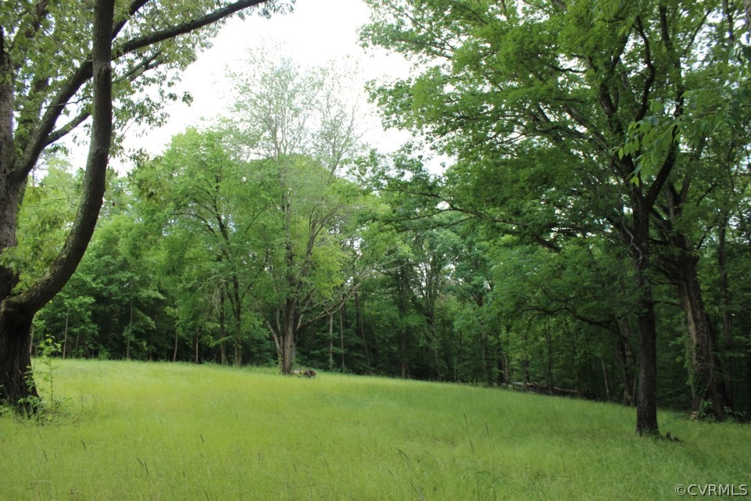 1333 River Road West Crozier, VA 23039 - Photo 11 of 13 Gallery Image 11