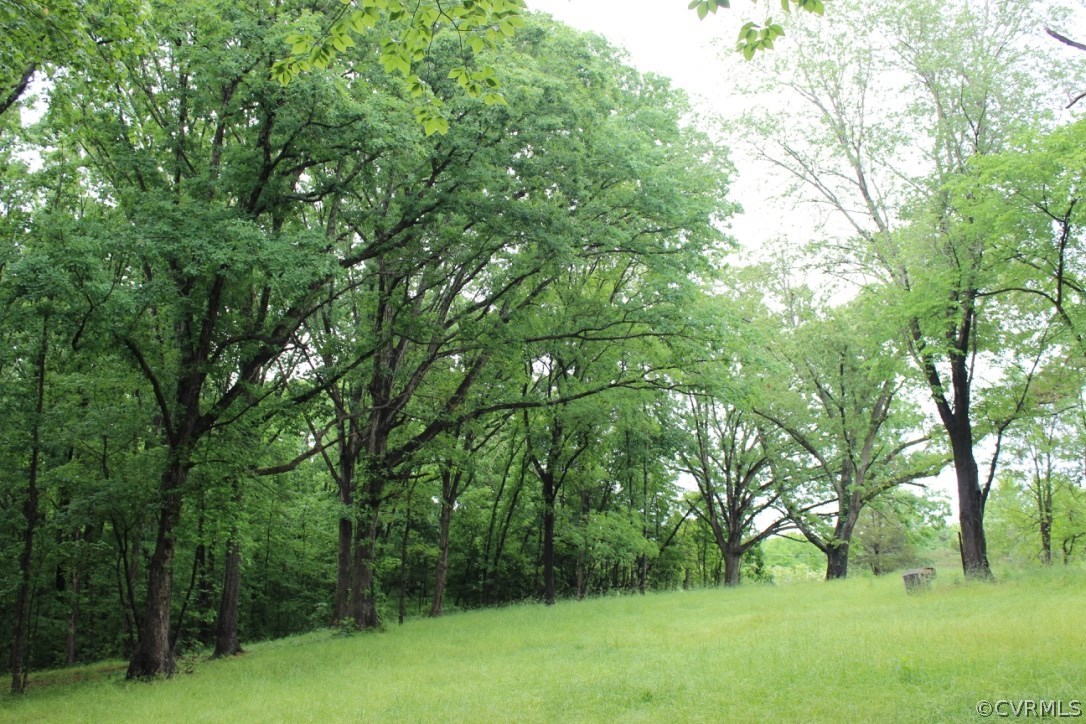 1333 River Road West Crozier, VA 23039 - Photo 12 of 13 Gallery Image 12