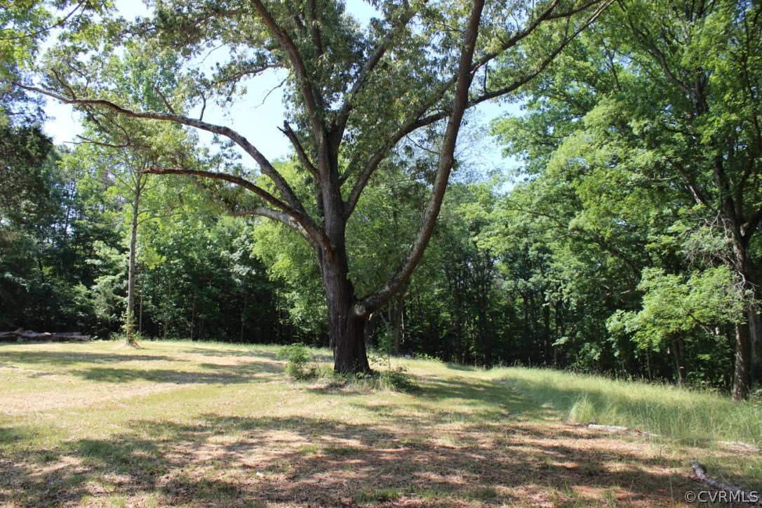 1333 River Road West Crozier, VA 23039 - Photo 2 of 13 Gallery Image 2