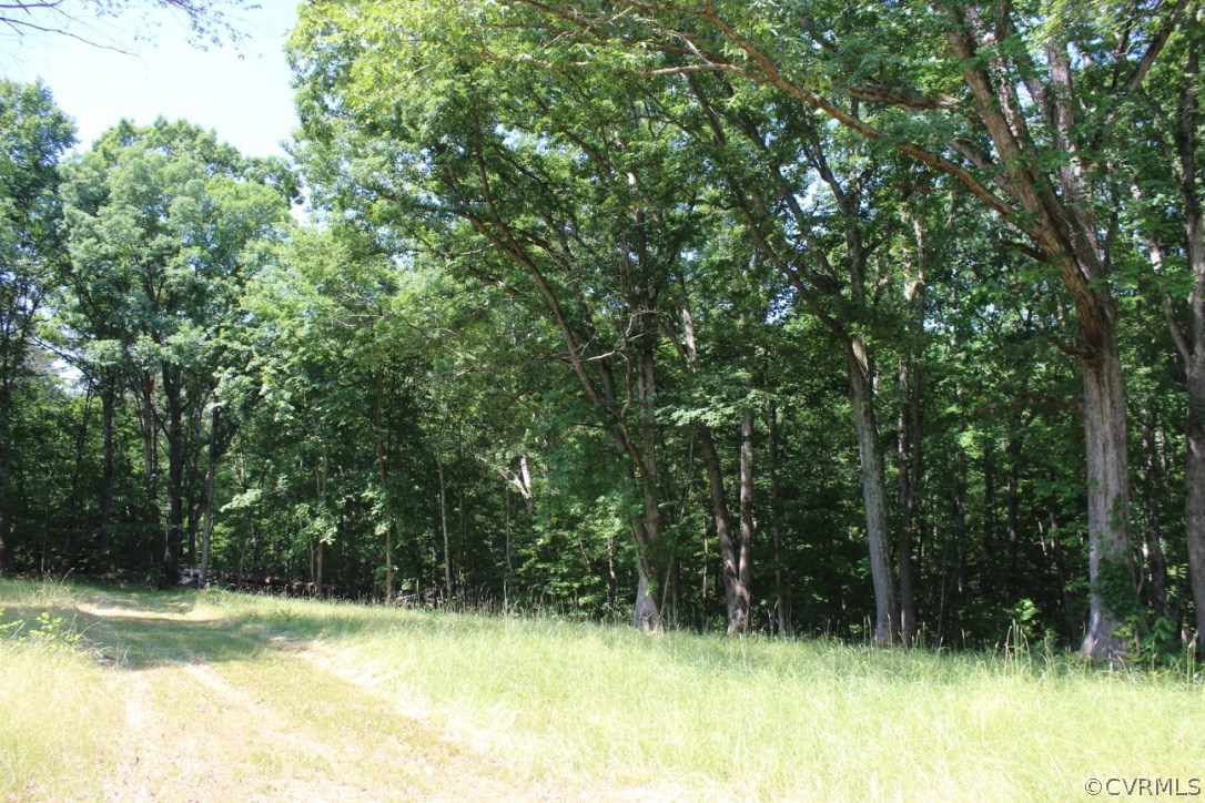 1333 River Road West Crozier, VA 23039 - Photo 5 of 13 Gallery Image 5