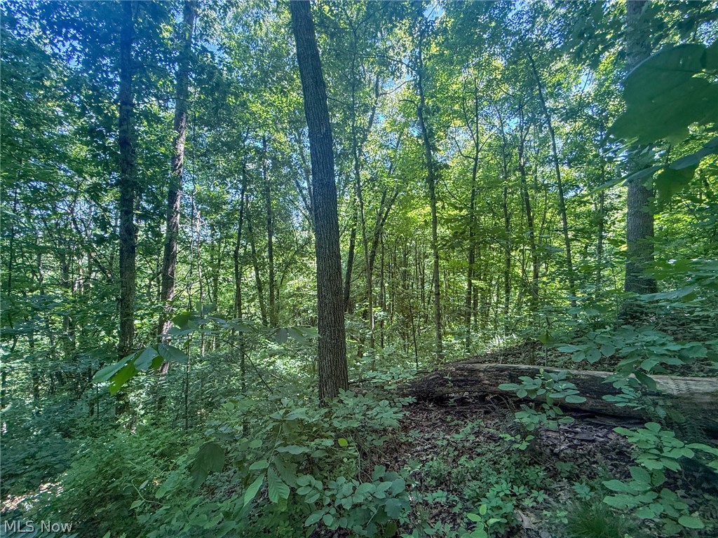 Keffer Road Stockport, OH 43787 - Photo 16 of 25
