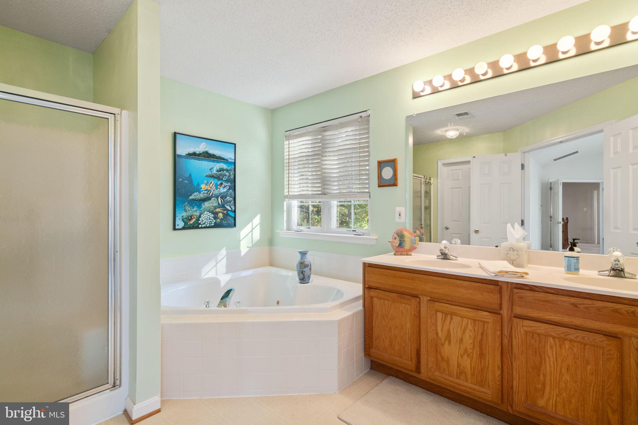14760 Peach Tree Lane King George, VA 22485 - Photo 19 of 40 a bathroom with a tub a sink and mirror