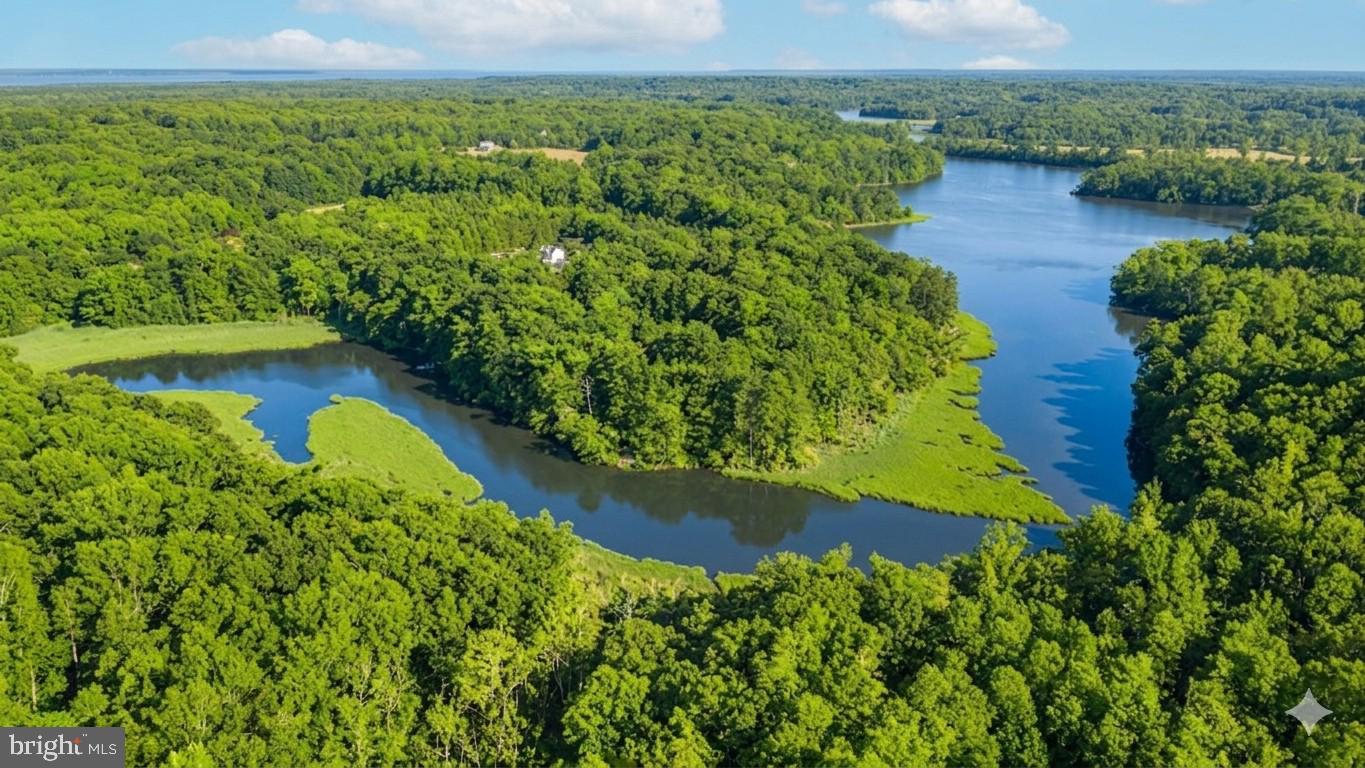 14760 Peach Tree Lane King George, VA 22485 - Photo 39 of 40 a view of a lake with a yard