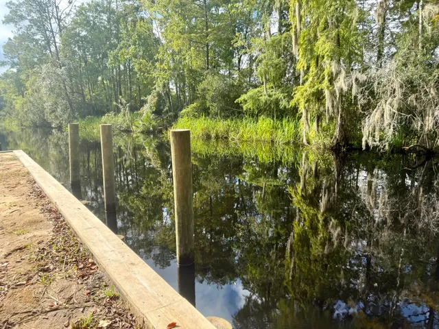 $109,000 | Lot #118 Prices Bridge Lane, Walterboro, SC 29488