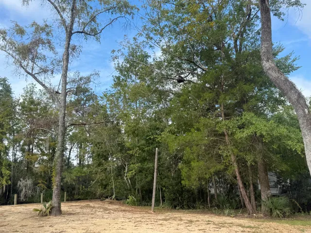 $109,000 | Lot #118 Prices Bridge Lane, Walterboro, SC 29488