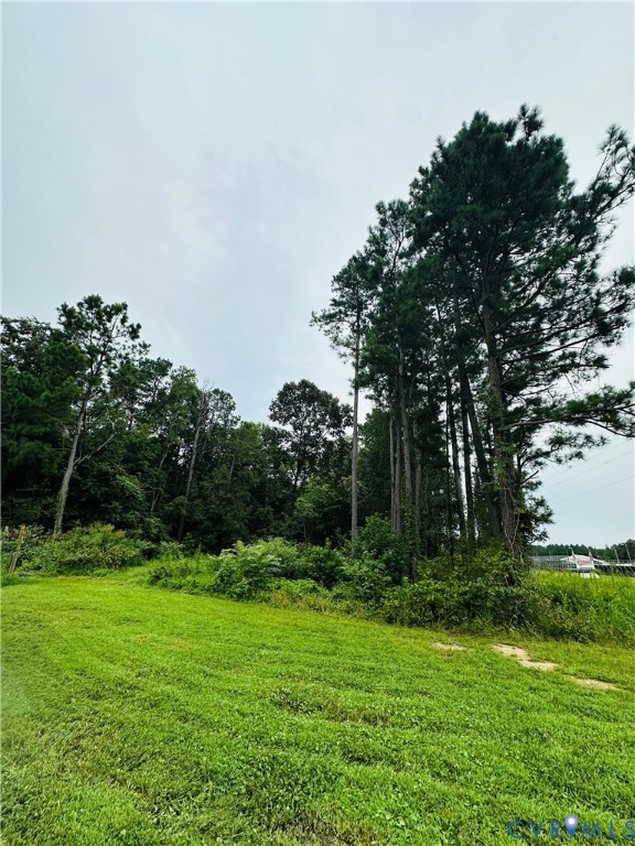 1611 Howerton Road Dunnsville, VA 22454 - Photo 34 of 36 a view of a park