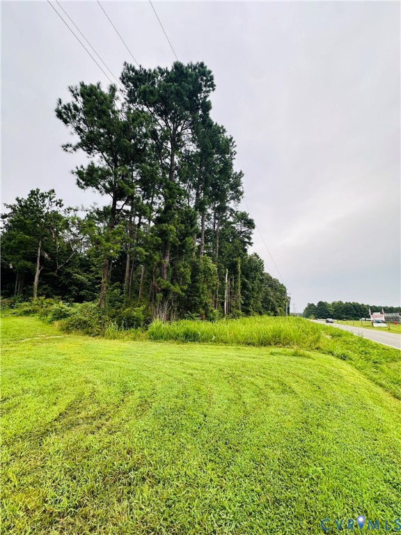 1611 Howerton Road Dunnsville, VA 22454 - Photo 35 of 36 a view of a field with a tree in it