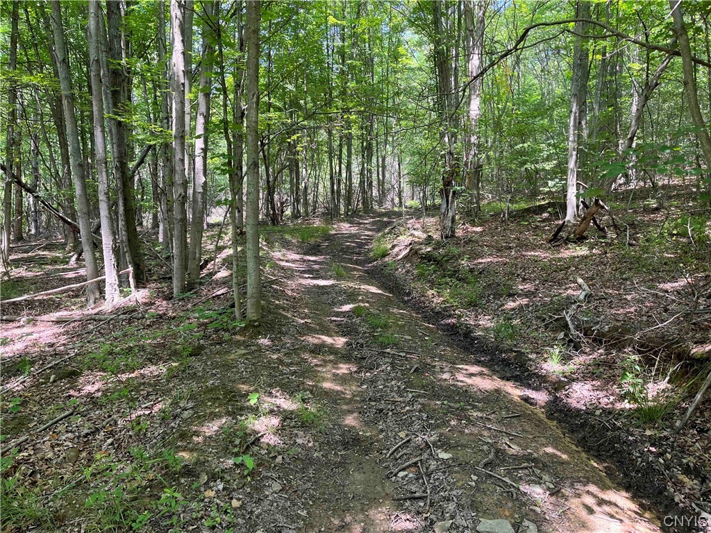 0 Gleason Hollow Road Belfast, NY 14711 - Photo 22 of 27 Gallery Image 22