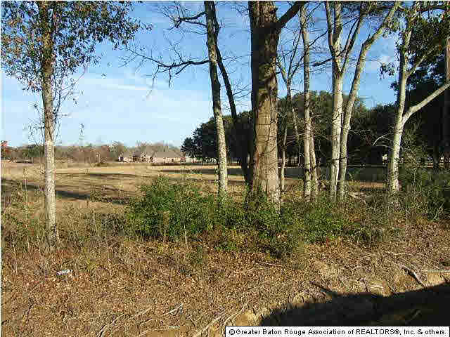0 Manchac Acres Road Prairieville, LA 70769 - Photo 1 of 1 Gallery Image 1