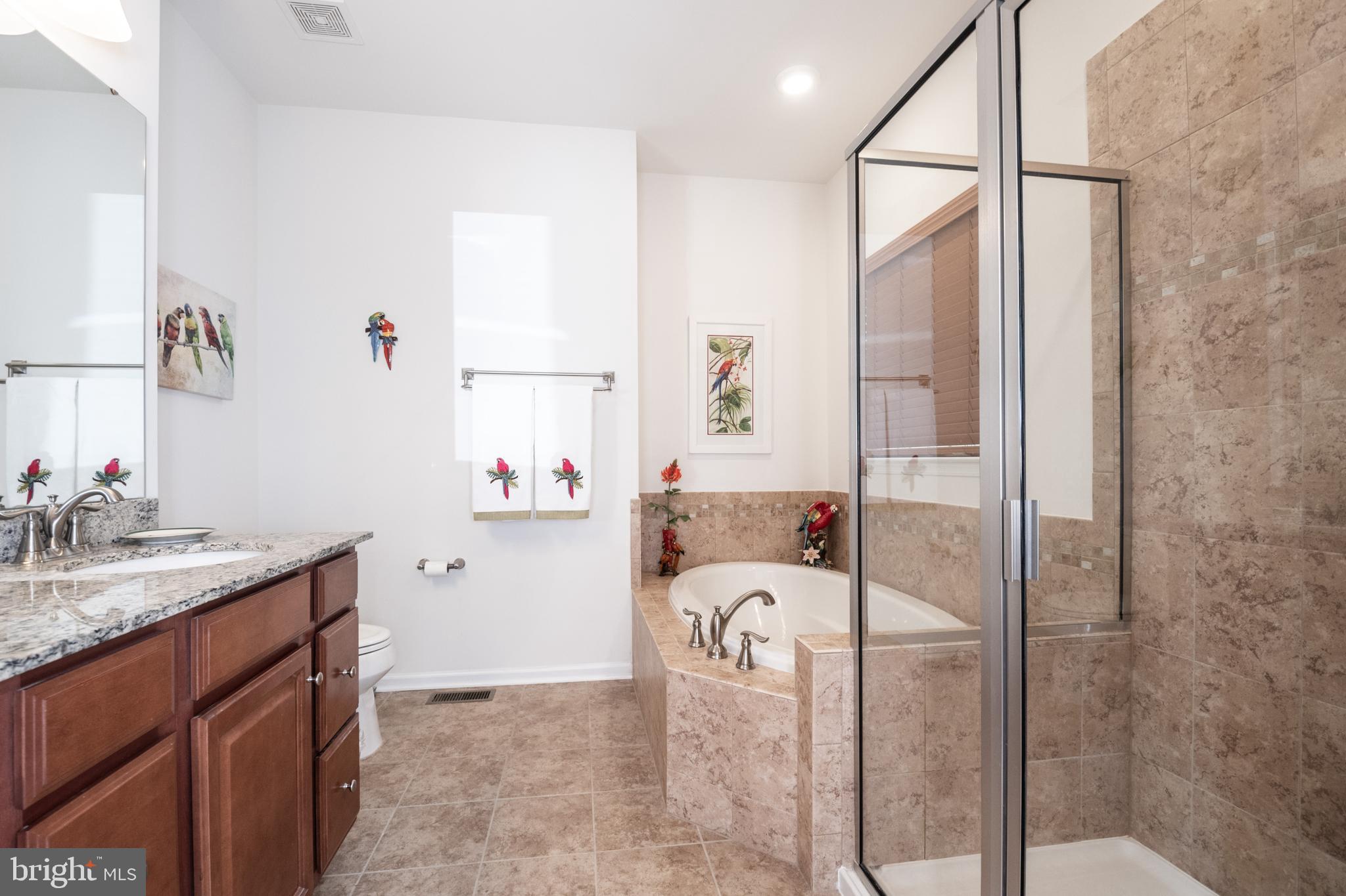 119 Rooftop Court Stephenson, VA 22656 - Photo 19 of 36 Master bath