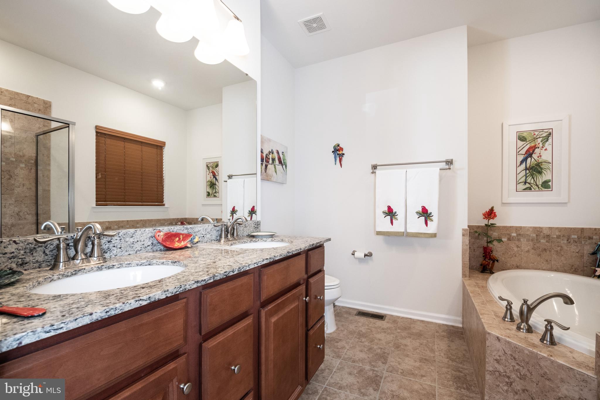 119 Rooftop Court Stephenson, VA 22656 - Photo 20 of 36 Master bath