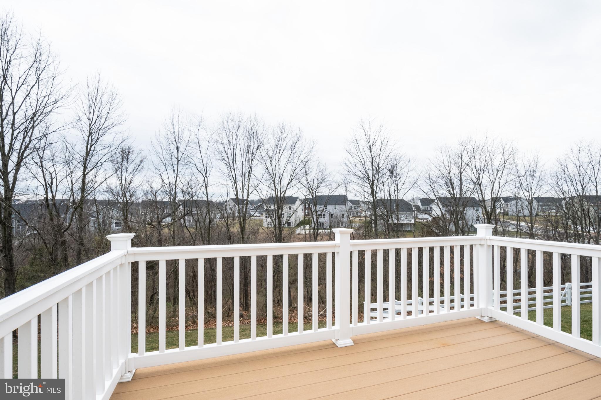 119 Rooftop Court Stephenson, VA 22656 - Photo 3 of 36 View from deck overlooking reserve