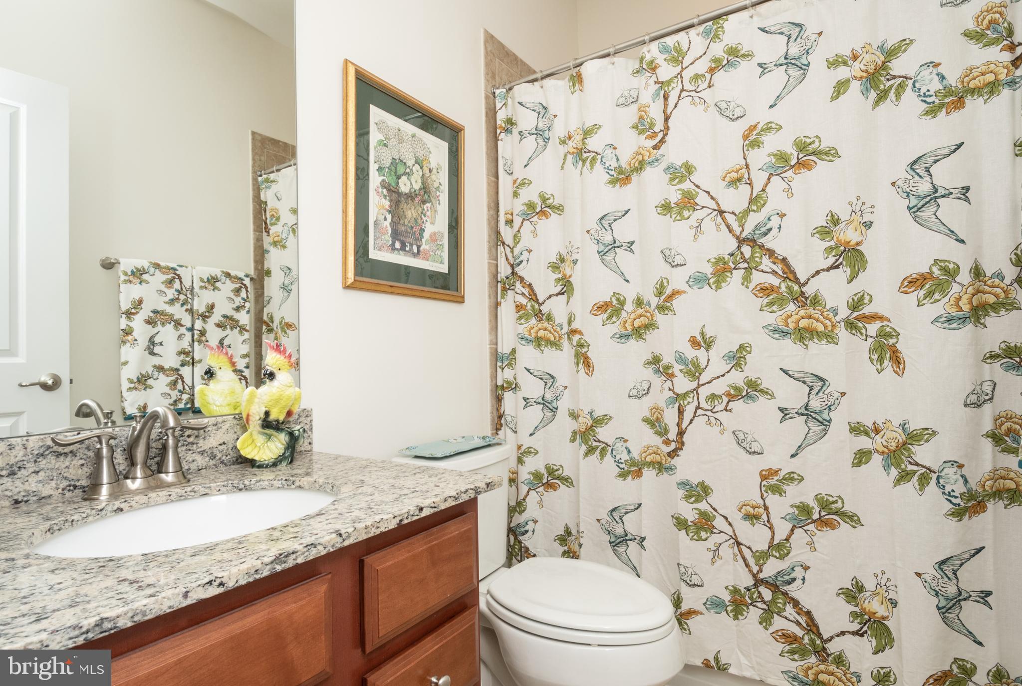 119 Rooftop Court Stephenson, VA 22656 - Photo 26 of 36 middle bath between 2 guest bedrooms