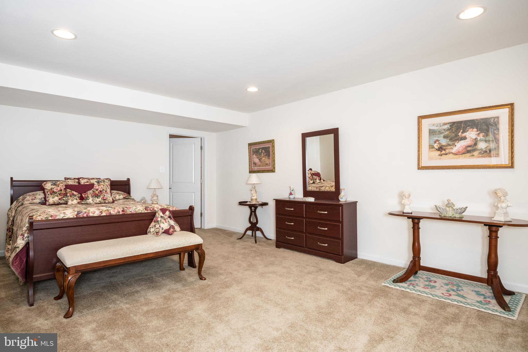 119 Rooftop Court Stephenson, VA 22656 - Photo 29 of 36 large basement bedroom