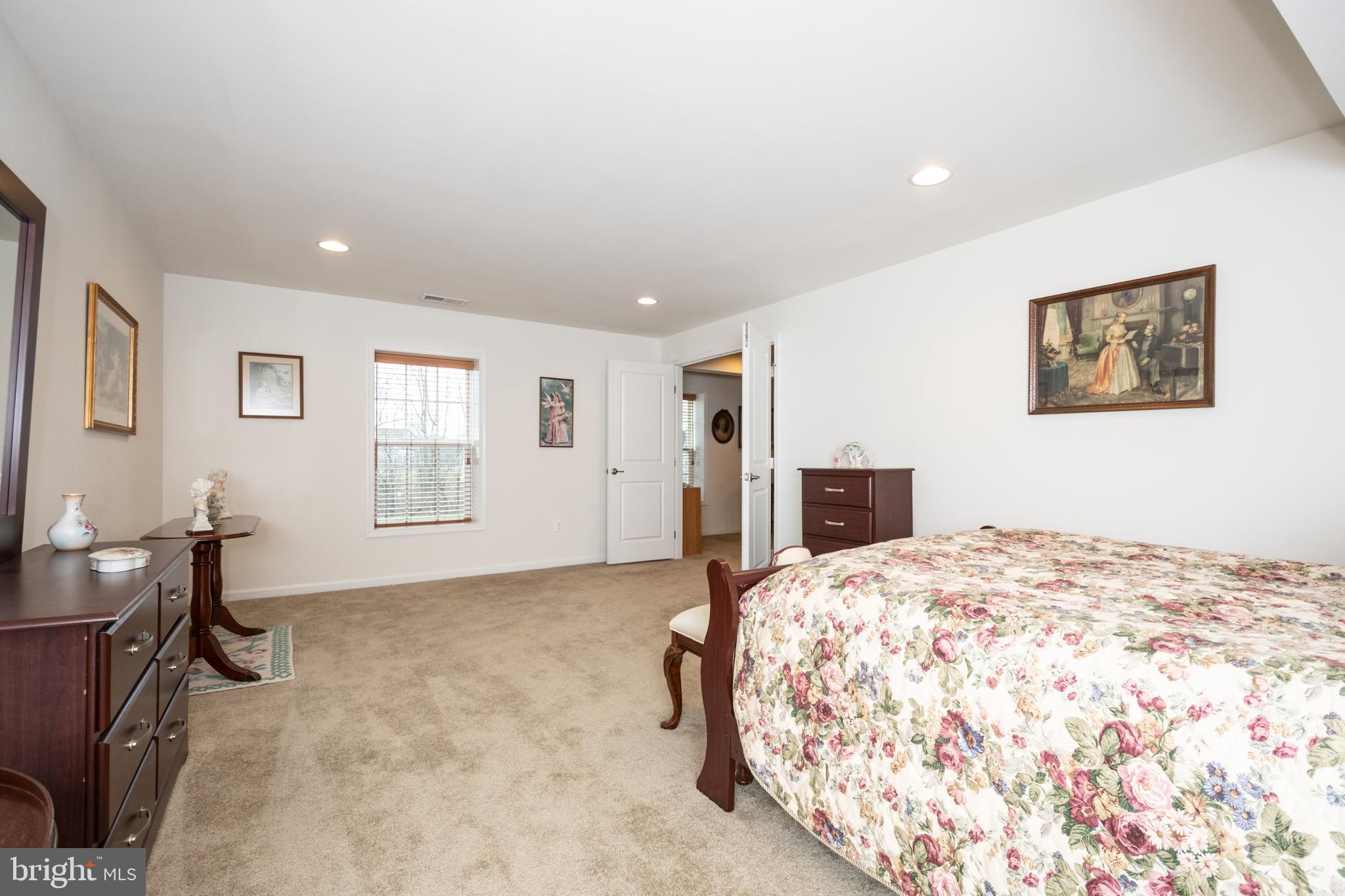 119 Rooftop Court Stephenson, VA 22656 - Photo 30 of 36 large basement bedroom