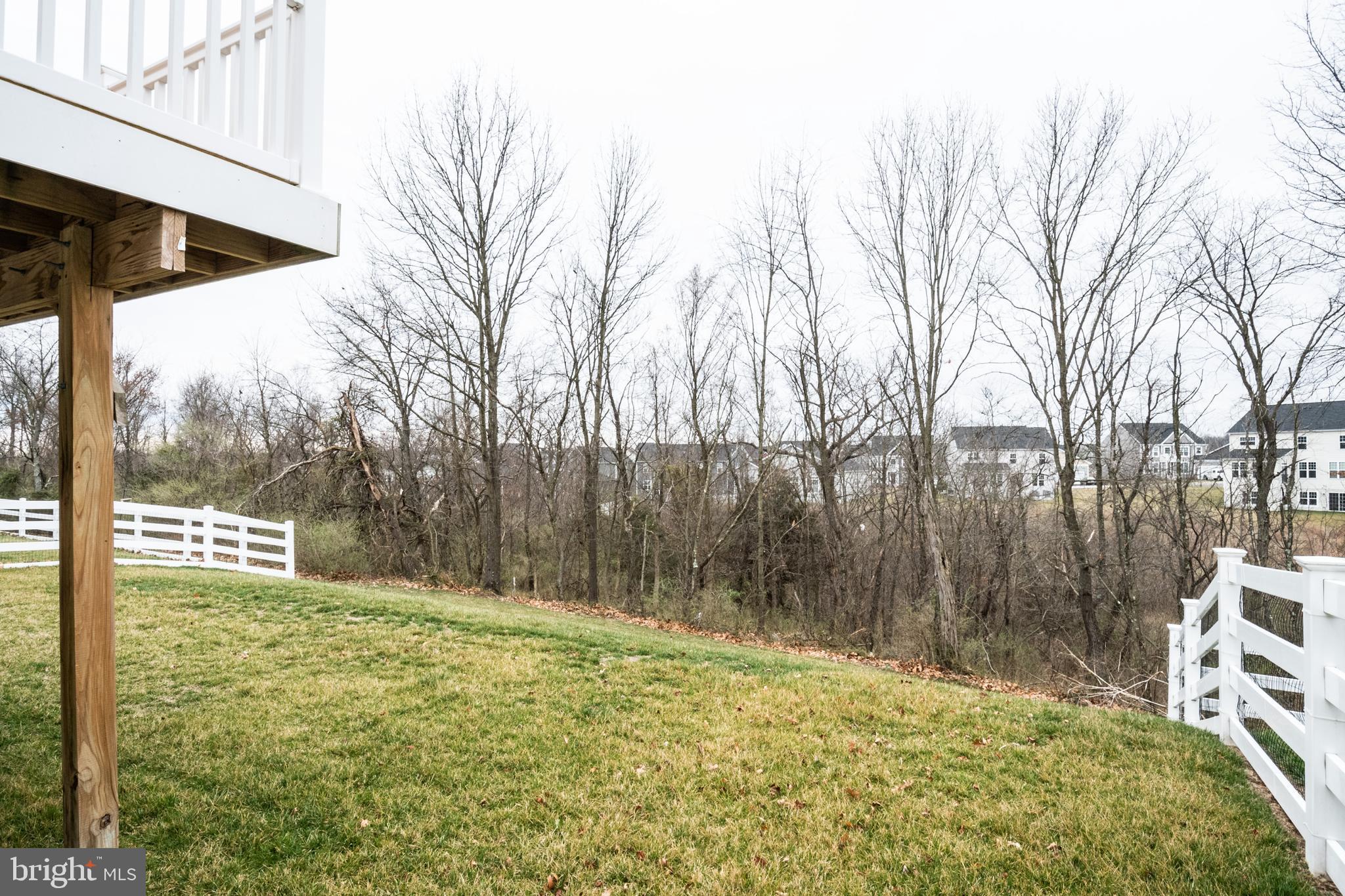 119 Rooftop Court Stephenson, VA 22656 - Photo 5 of 36 back yard fenced on both sides