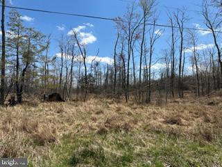 Cherry Ridge Rd Mount Mount Storm, WV 26739 - Photo 7 of 8