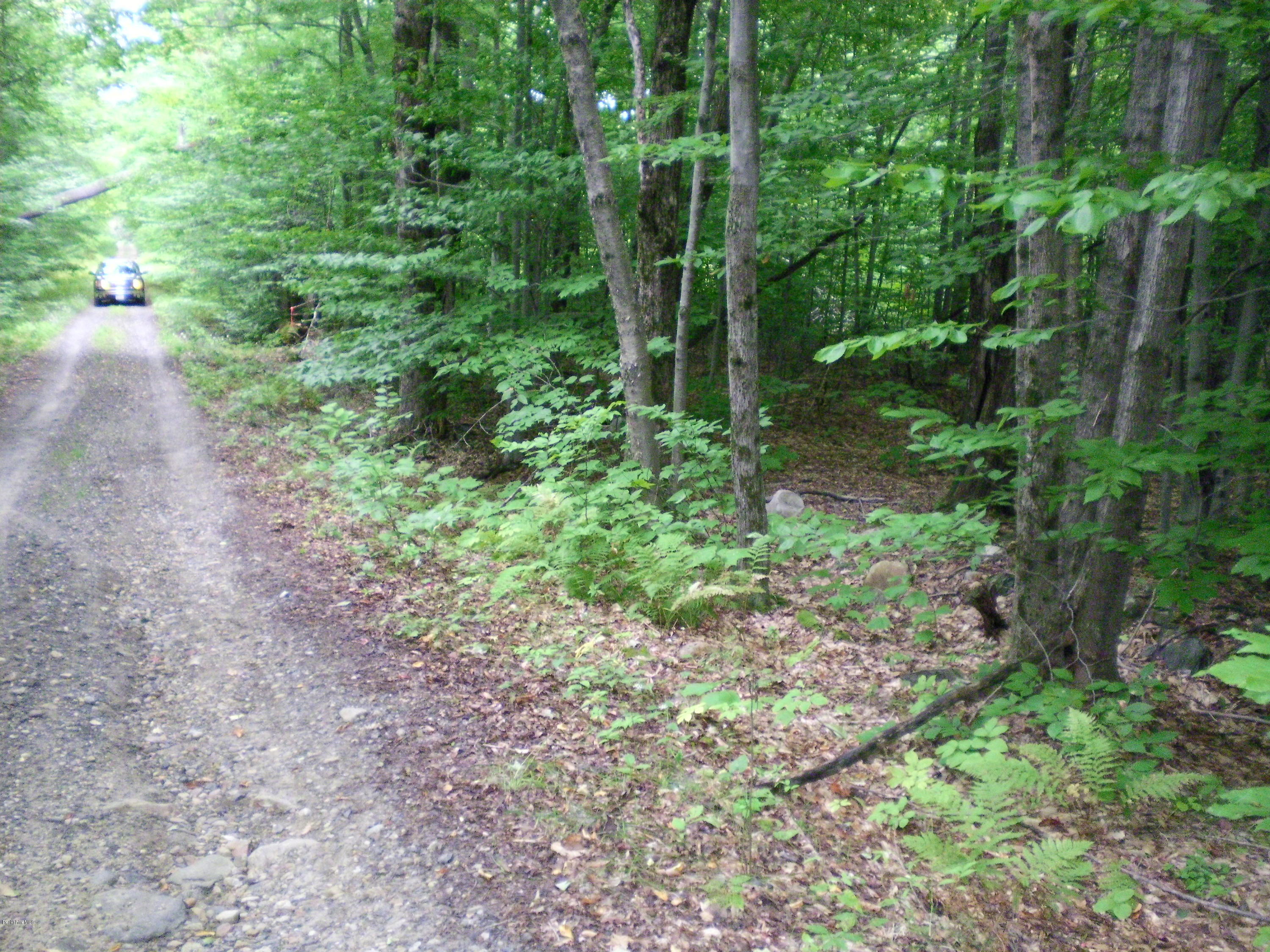Lot #13 Chipman Road Huntington, MA 01050 - Photo 1 of 8 a view of a yard with plants and large trees
