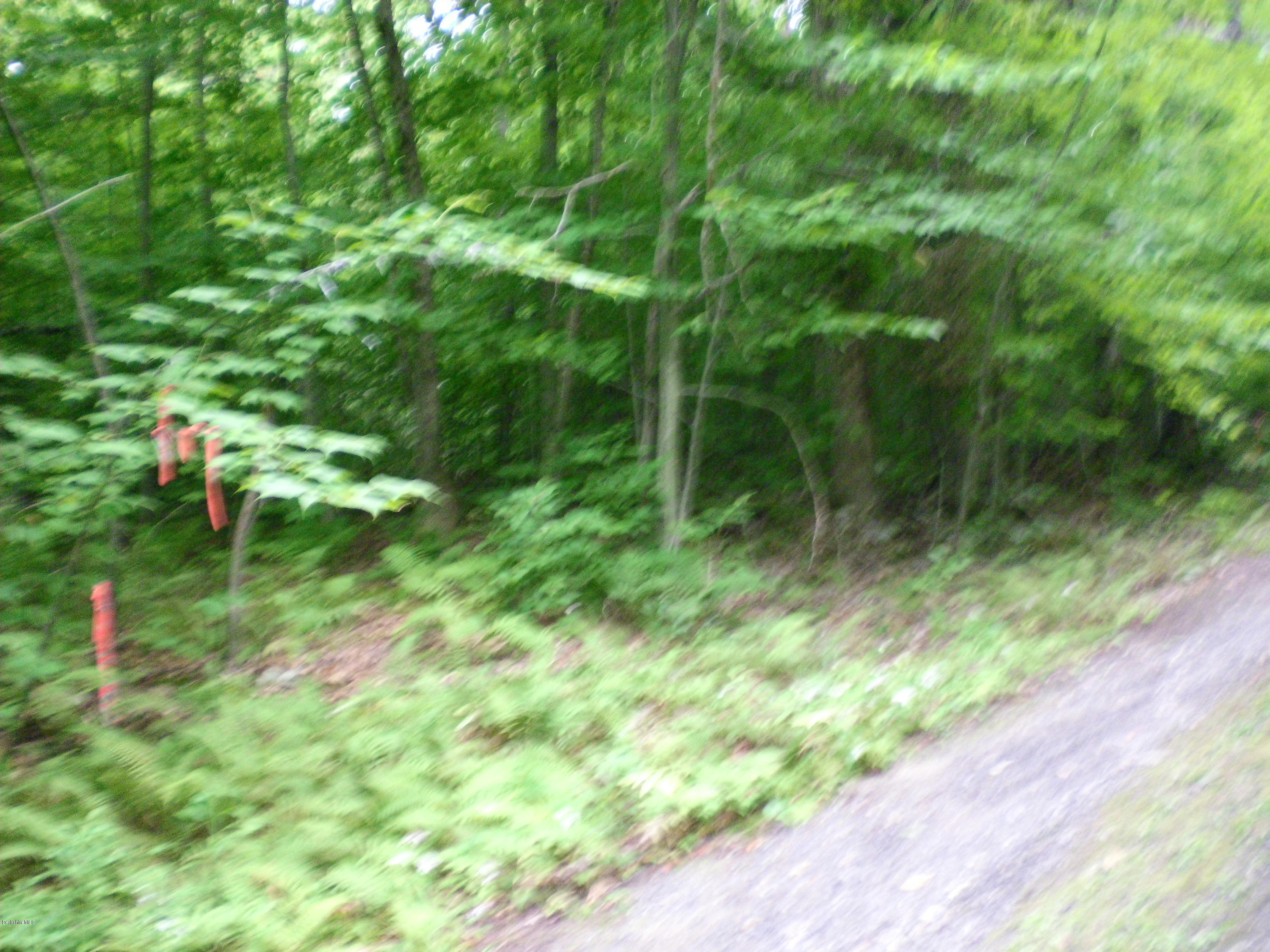 Lot #13 Chipman Road Huntington, MA 01050 - Photo 2 of 8 a view of yard