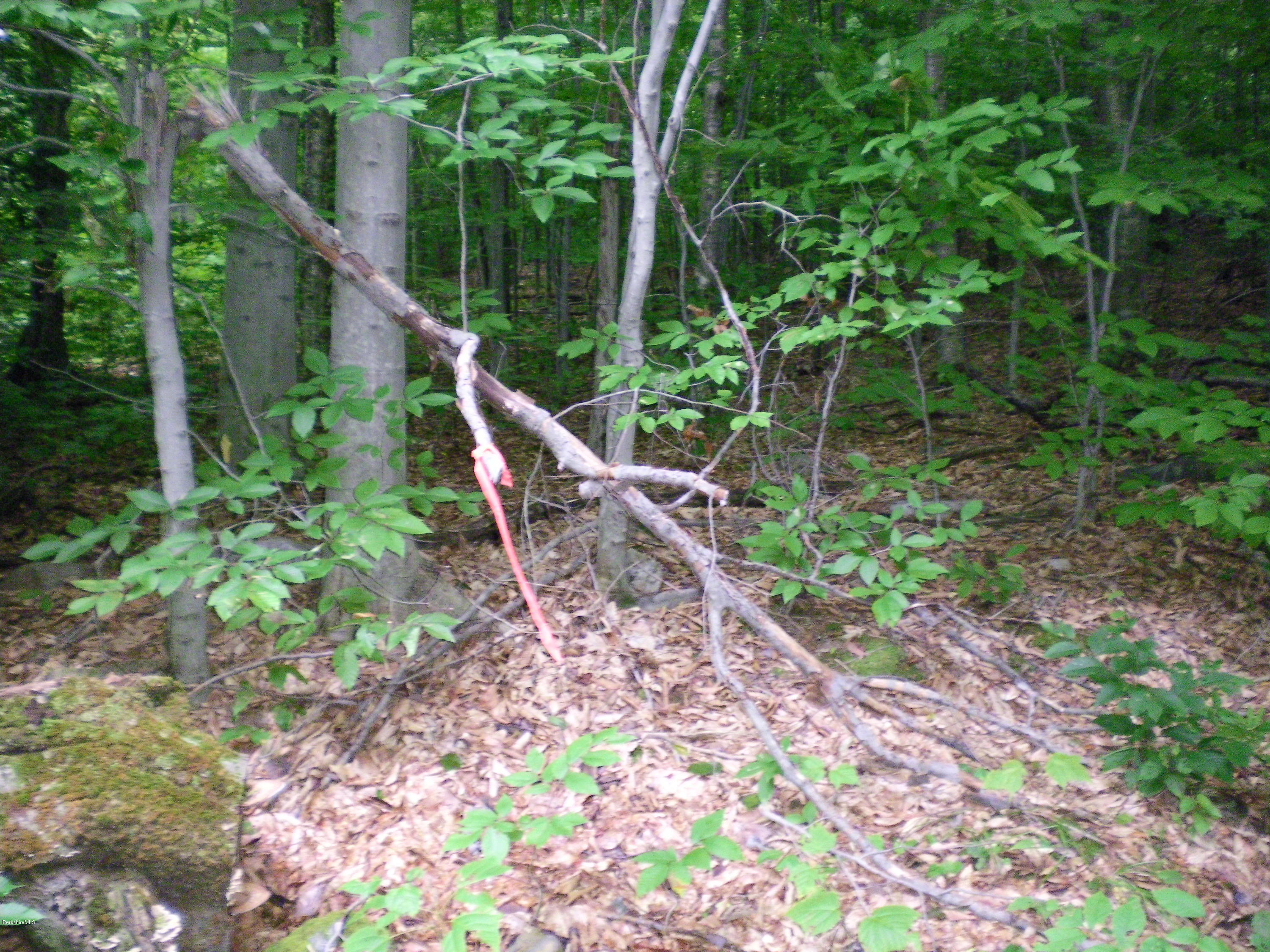 Lot #13 Chipman Road Huntington, MA 01050 - Photo 5 of 8 a garden view with a plants and seating area