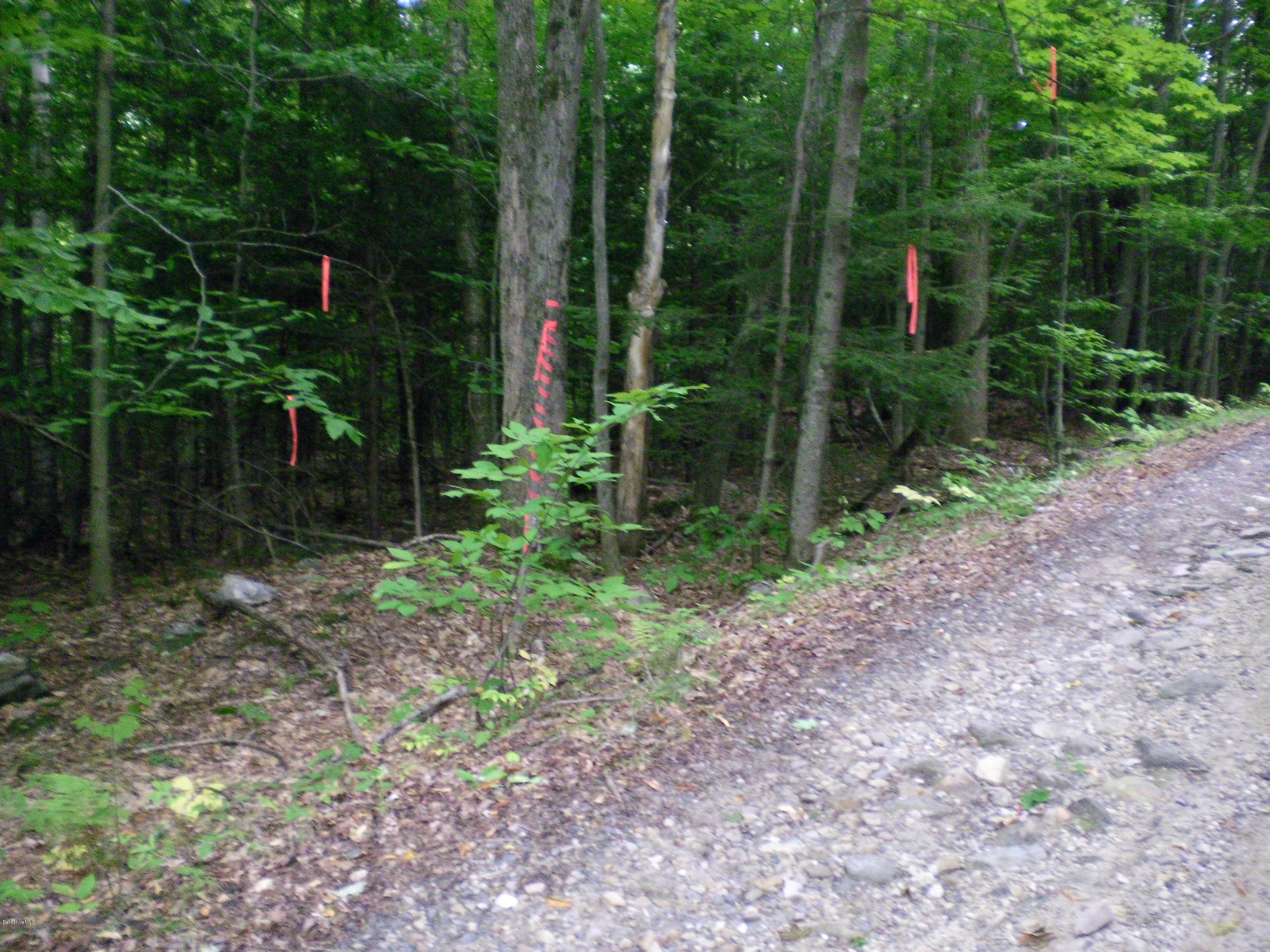 Lot #13 Chipman Road Huntington, MA 01050 - Photo 6 of 8 a view of a kid s park