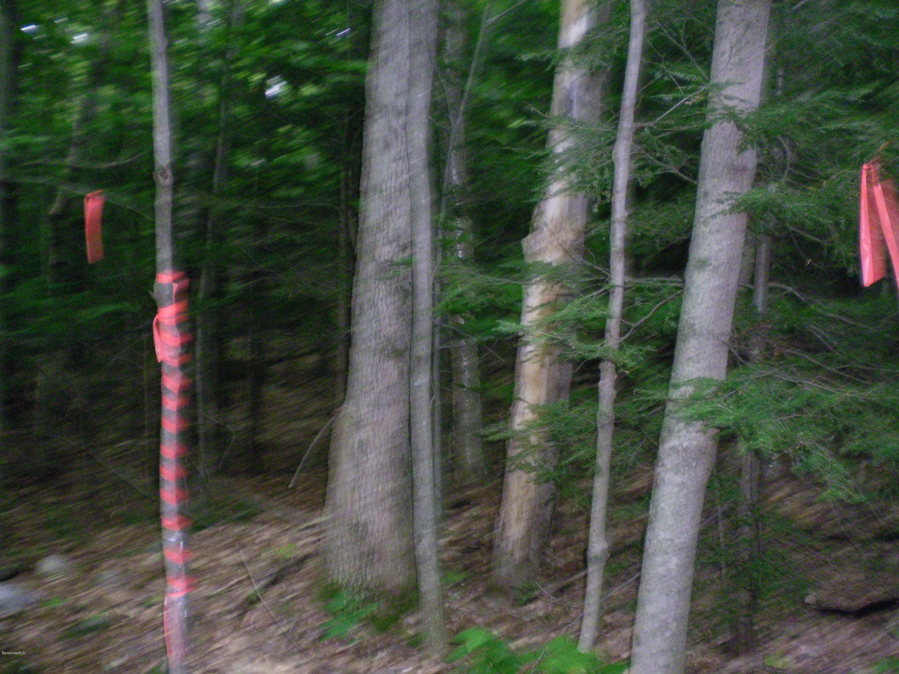 Lot #13 Chipman Road Huntington, MA 01050 - Photo 7 of 8 a backyard of a house with lots of green space