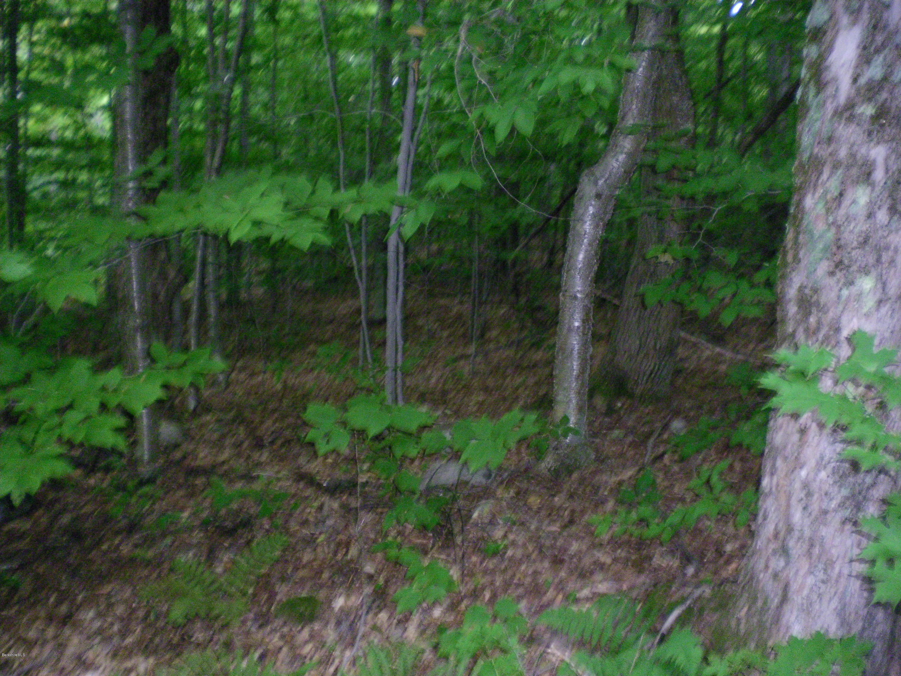 Lot #13 Chipman Road Huntington, MA 01050 - Photo 8 of 8 a view of a garden