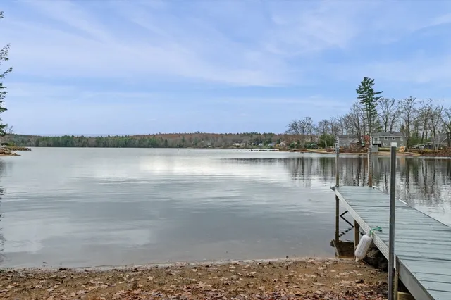 a view of a lake with a city skyline in the background