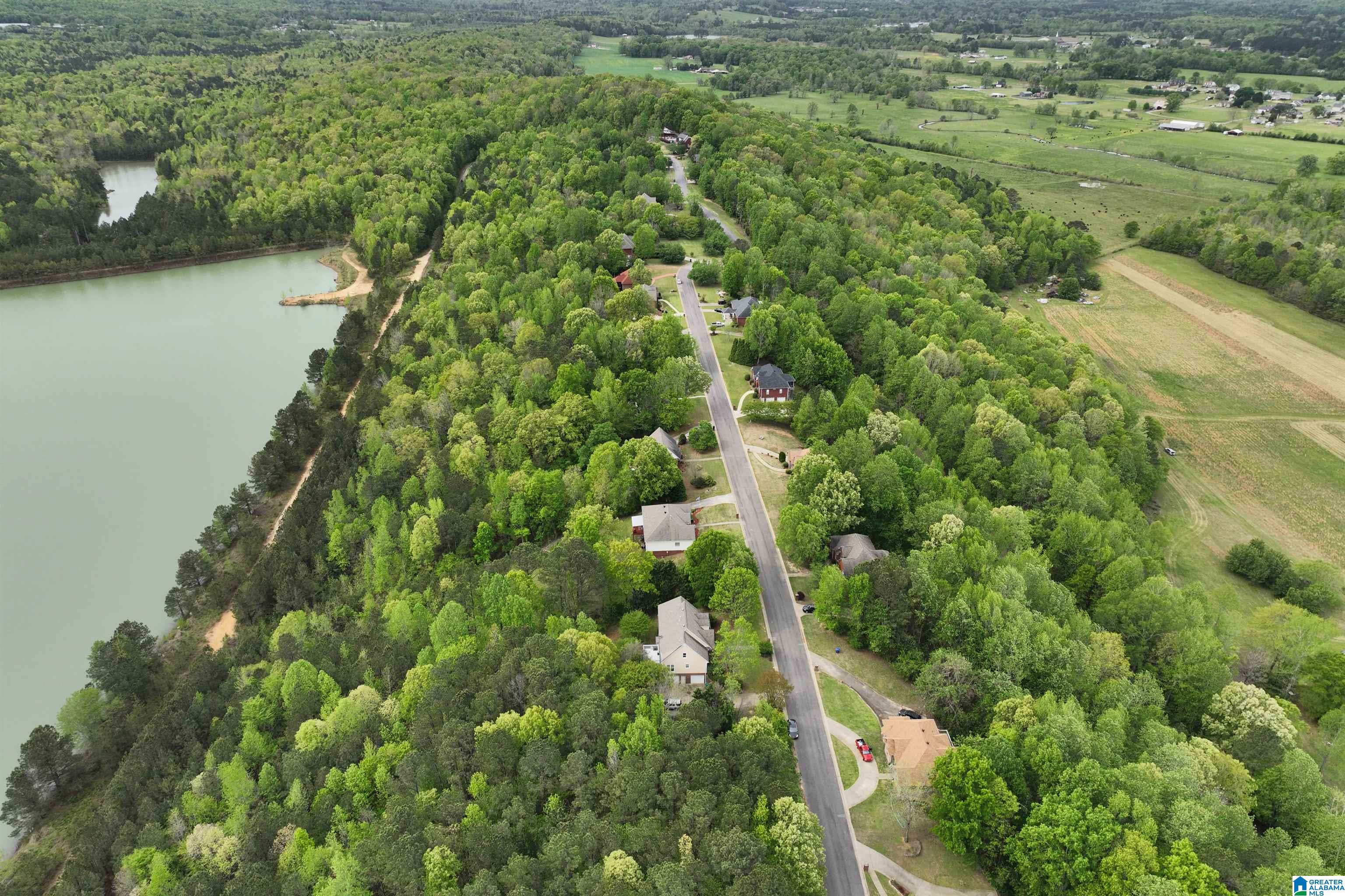 90 Ridgewood Lane Odenville, AL 35120 - Photo 62 of 65
