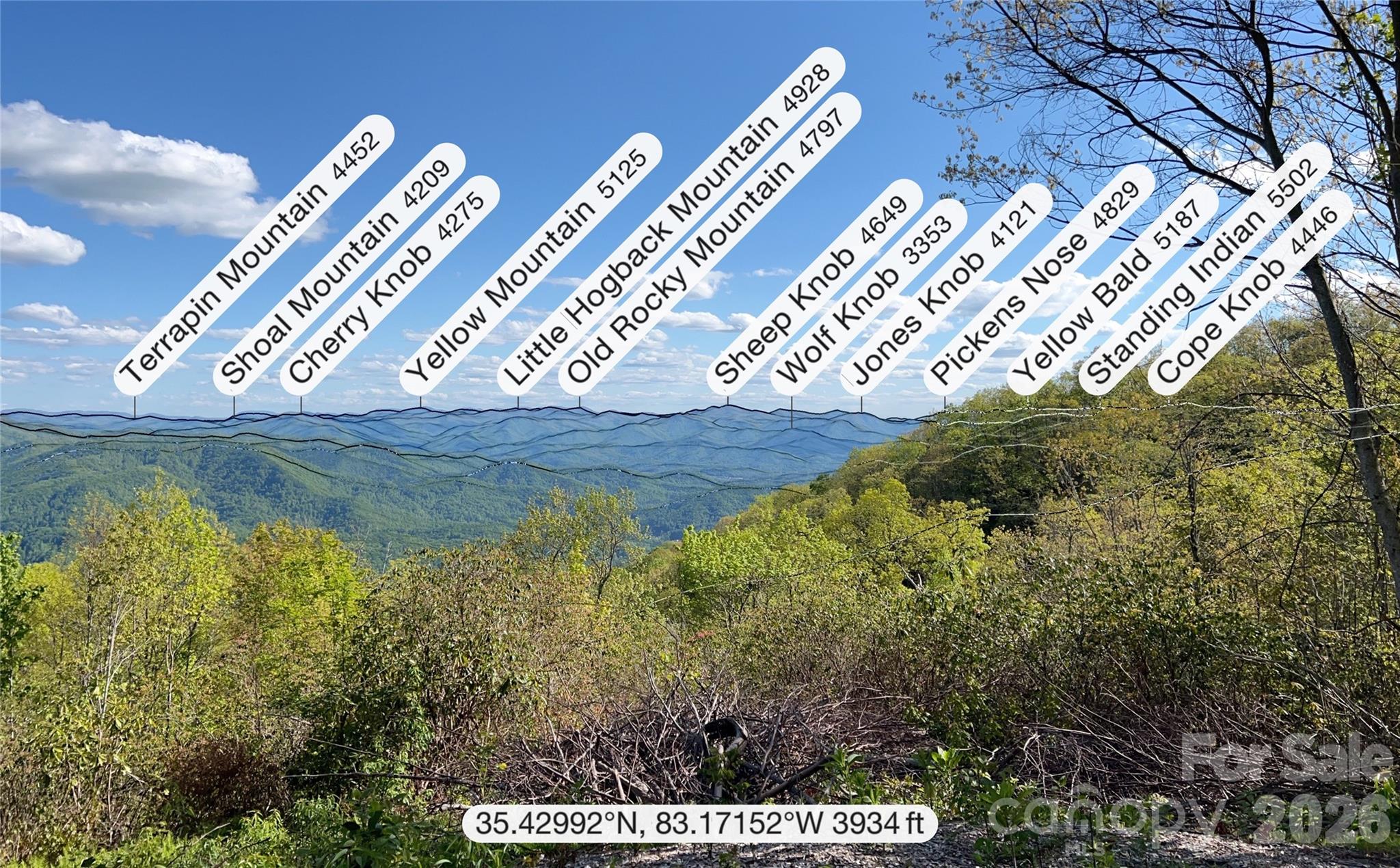3409 Parris Branch Road Sylva, NC 28779 - Photo 16 of 19