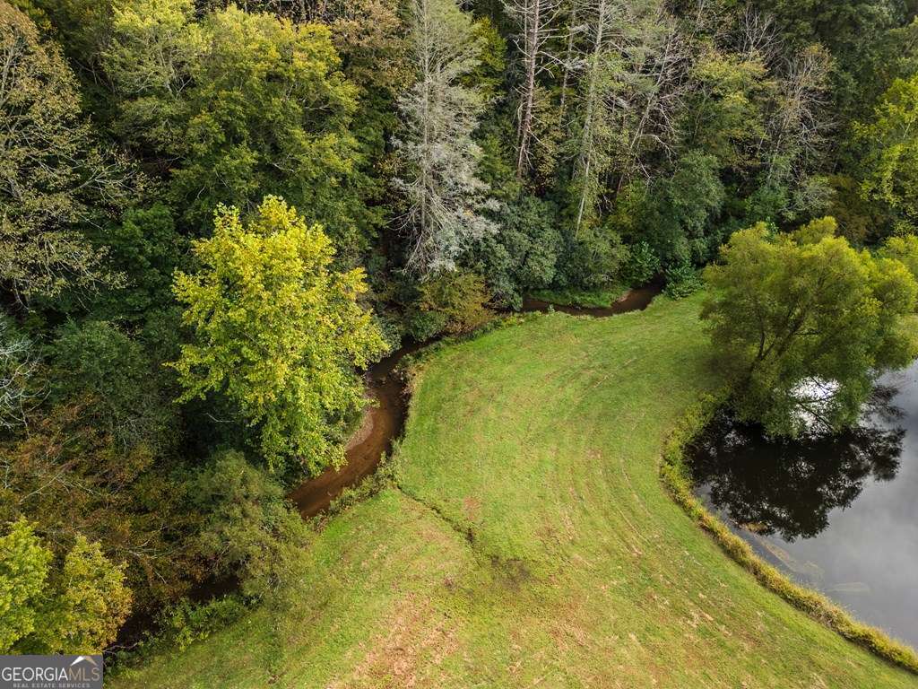 7.93 Cutcane Road Mineral Bluff, GA 30559 - Photo 4 of 8