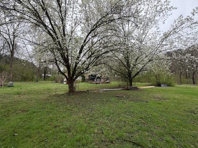 7405 Harper Road Hixson, TN 37343 - Photo 4 of 5 IMG_4254