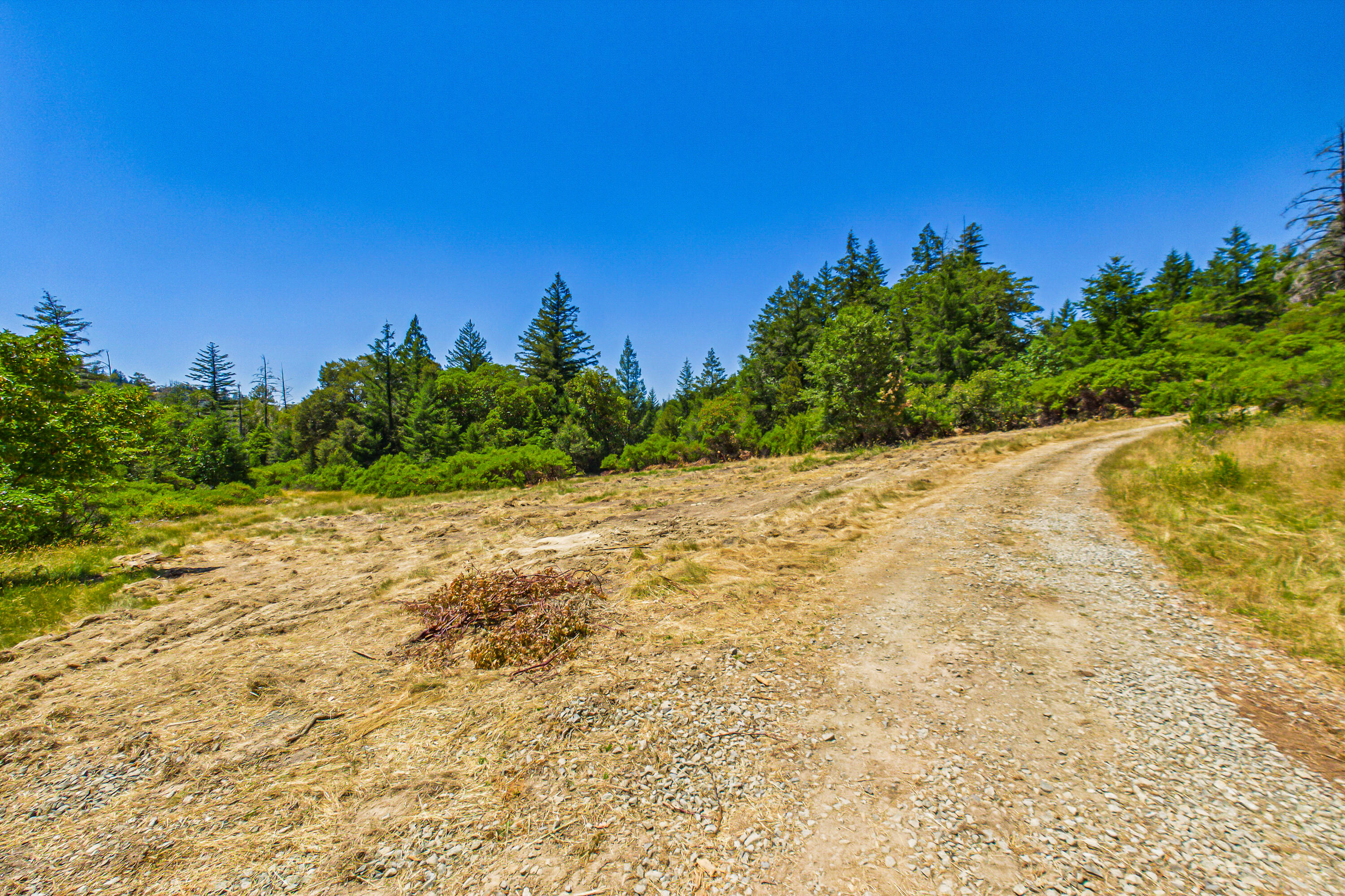 0 Tooby Ranch Road Garberville, CA 95542 - Photo 10 of 81