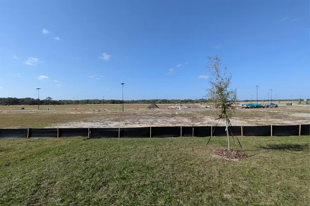 a view of a back yard