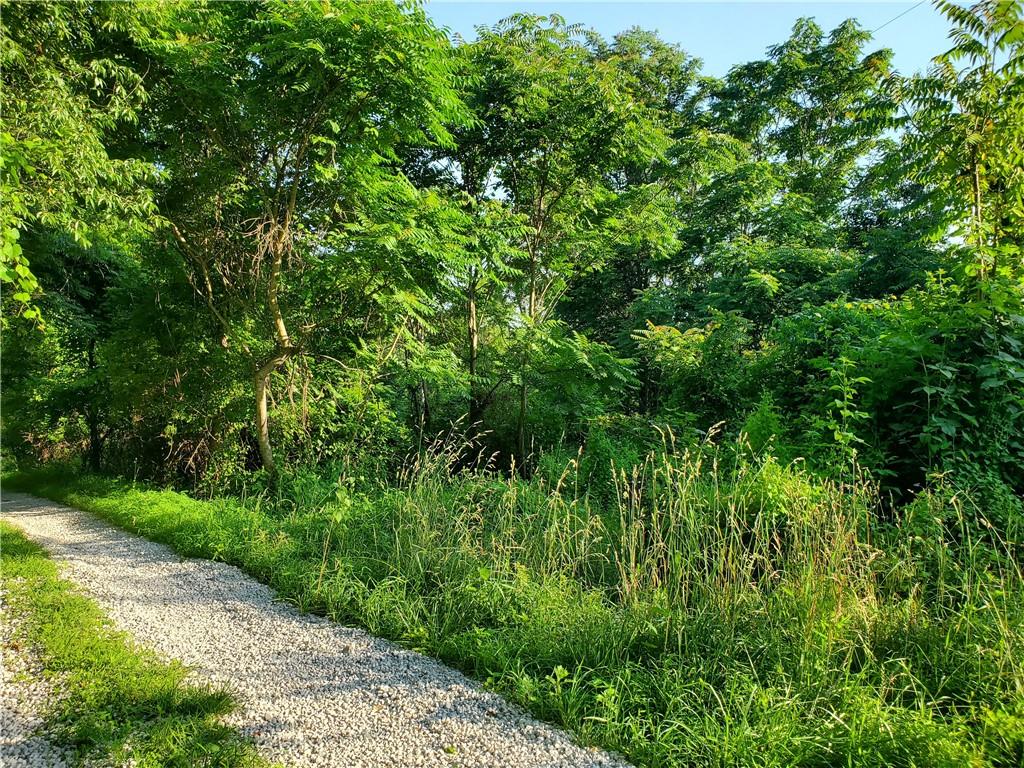 0 Shaffer Lane West Alexander, PA 15376 - Photo 2 of 3 a view of a lush green forest