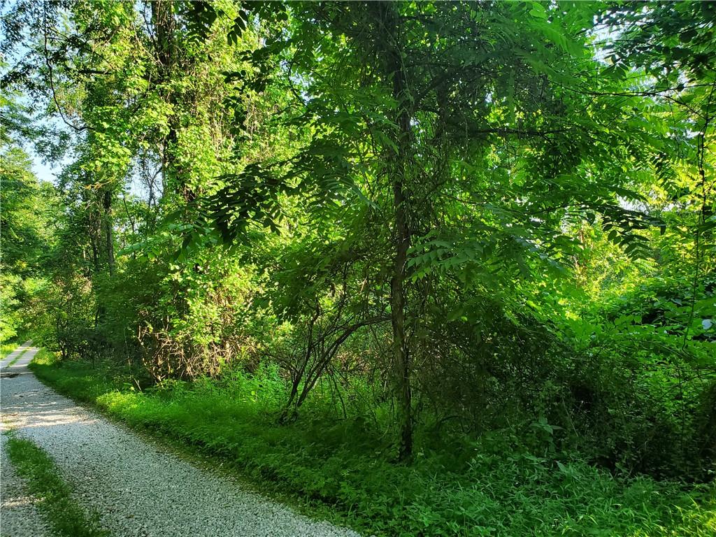 0 Shaffer Lane West Alexander, PA 15376 - Photo 3 of 3 a view of a lush green forest with lawn chairs and a tree