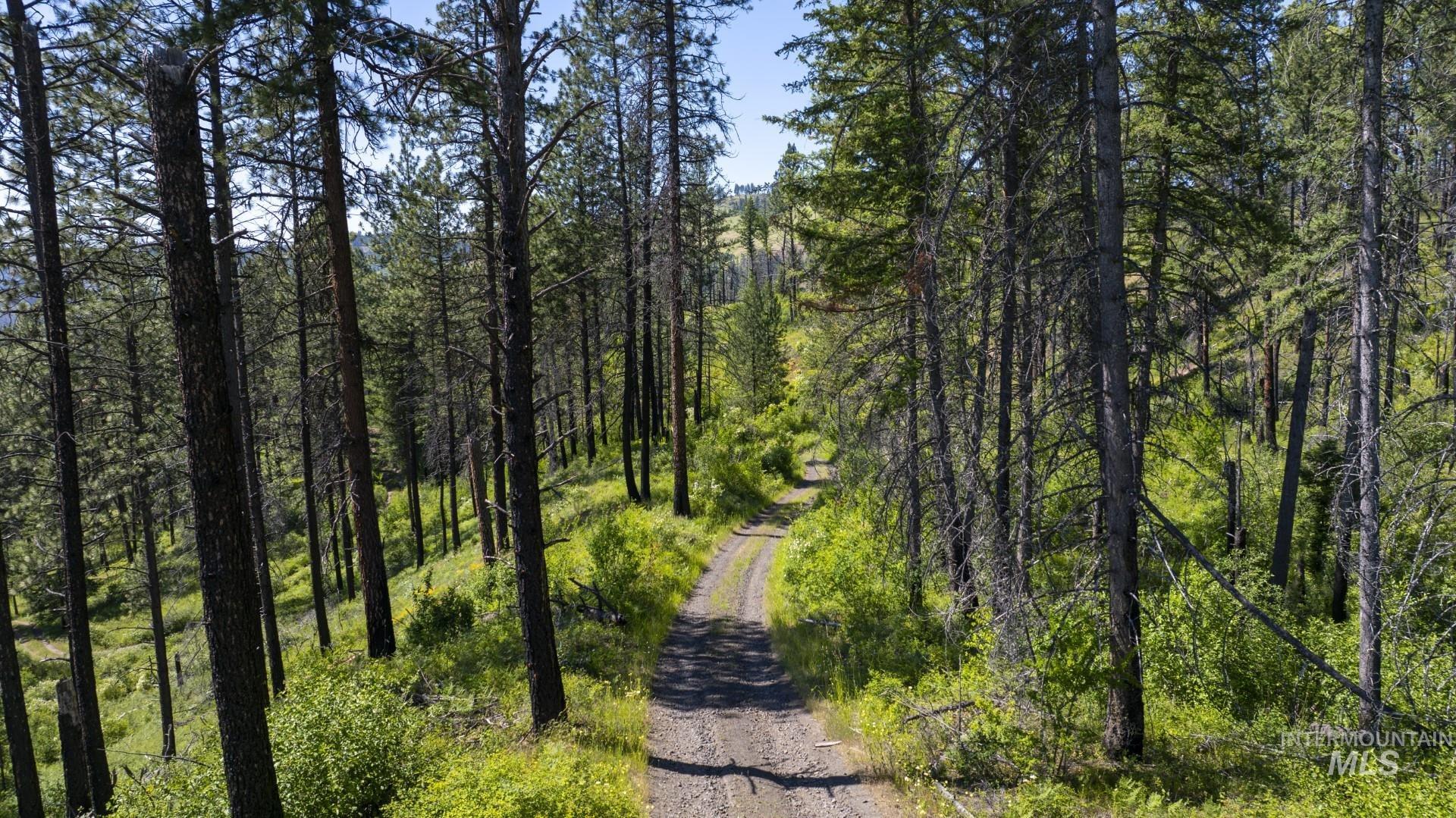 0 Forest Garden Lane Weippe, ID 83553 - Photo 6 of 17