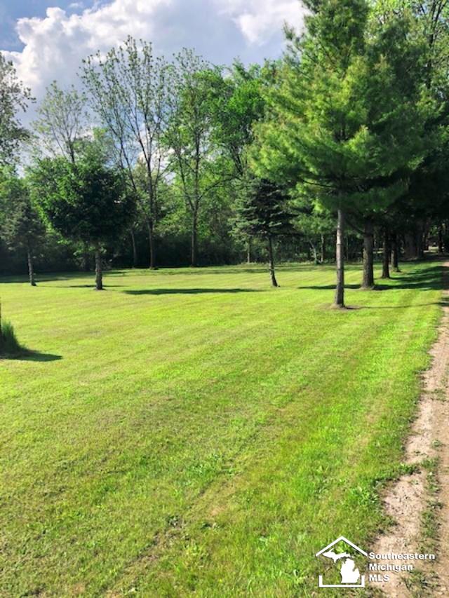 14100 Todd Road Petersburg, MI 49270 - Photo 11 of 13 50013701-10.JPG