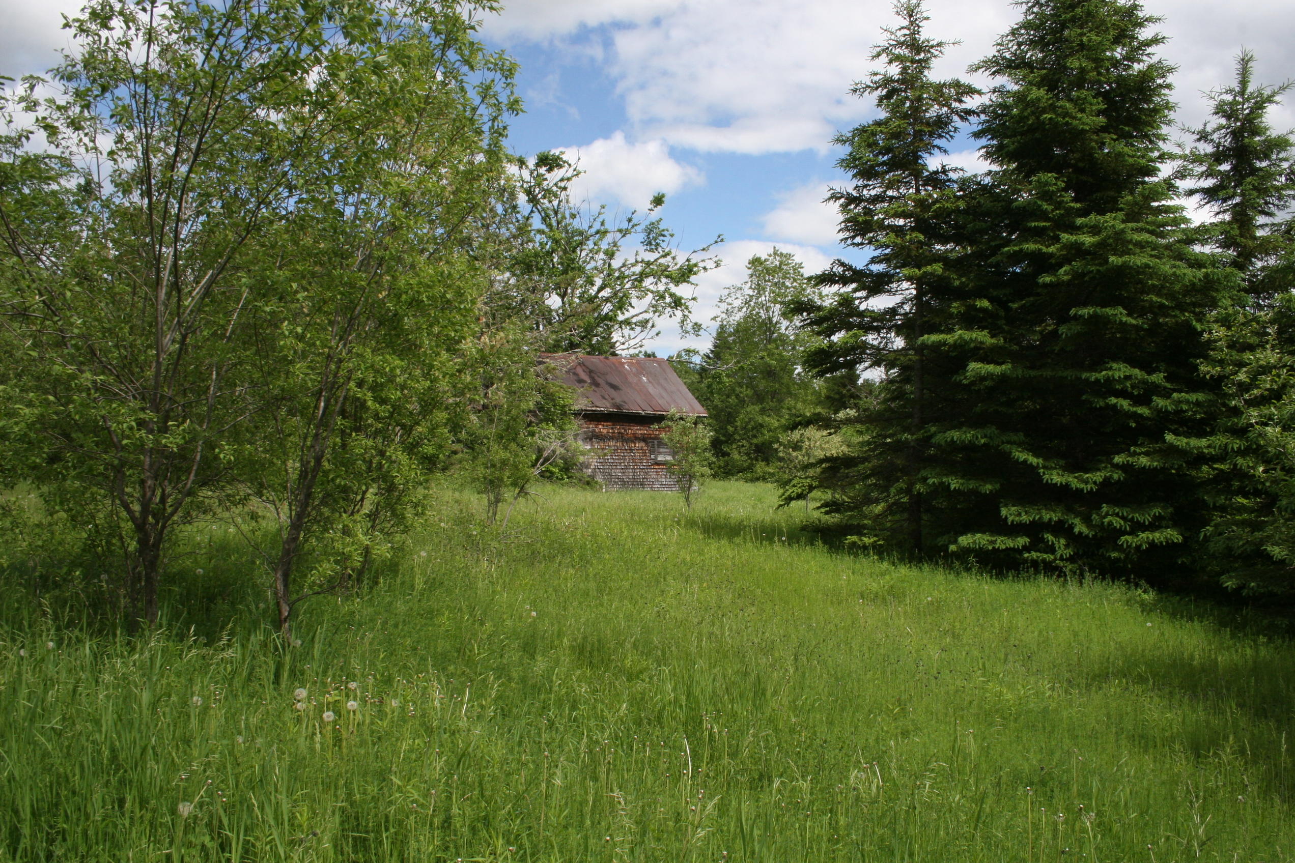 0 Roix Road New Limerick, ME 04761 - Photo 20 of 22 IMG_3614