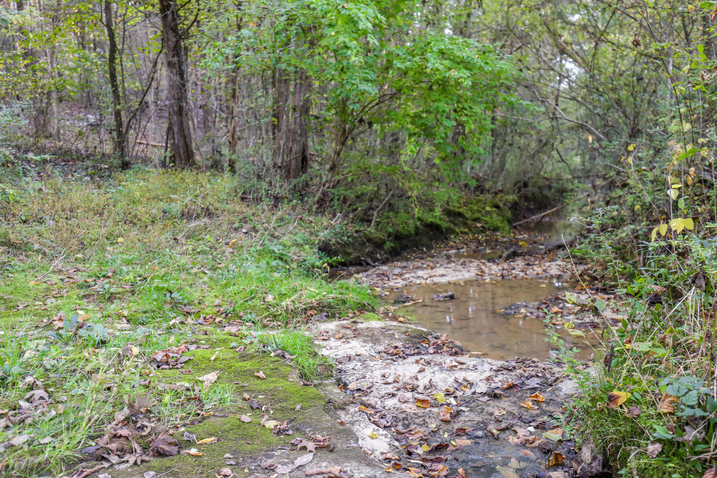 444 Deerfield Road Chickamauga, GA 30707 - Photo 85 of 98 Strickland Branch