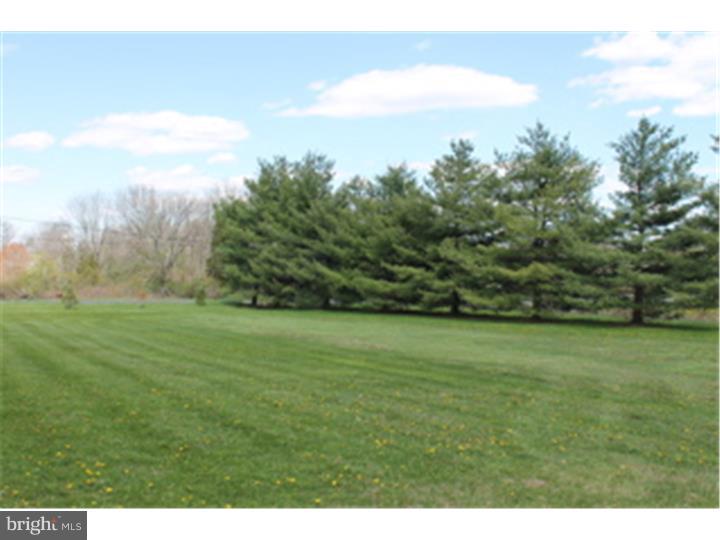 1565 Kumry Road Quakertown, PA 18951 - Photo 4 of 14 Front Yard