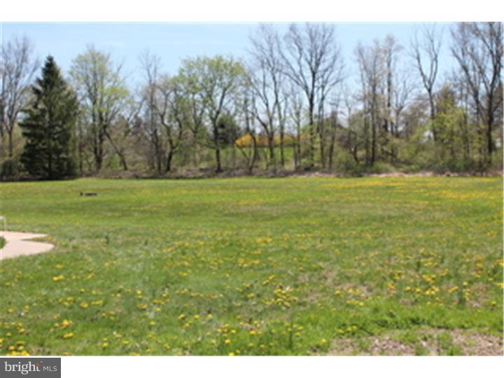 1565 Kumry Road Quakertown, PA 18951 - Photo 6 of 14 Back Yard