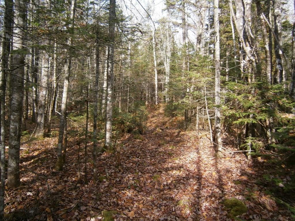 0 Roque Bluffs Road Jonesboro, ME 04648 - Photo 21 of 34 Photo